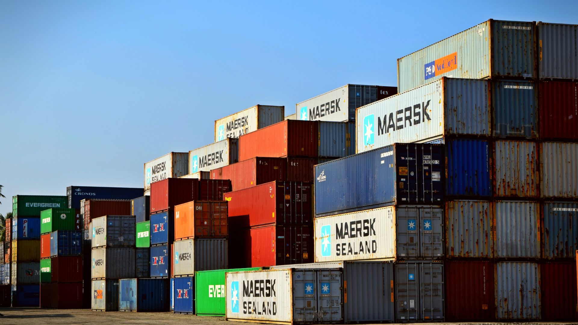 Professional Services Optimization for Den Haag Firm